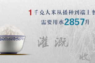 节约粮食 = 节约用水