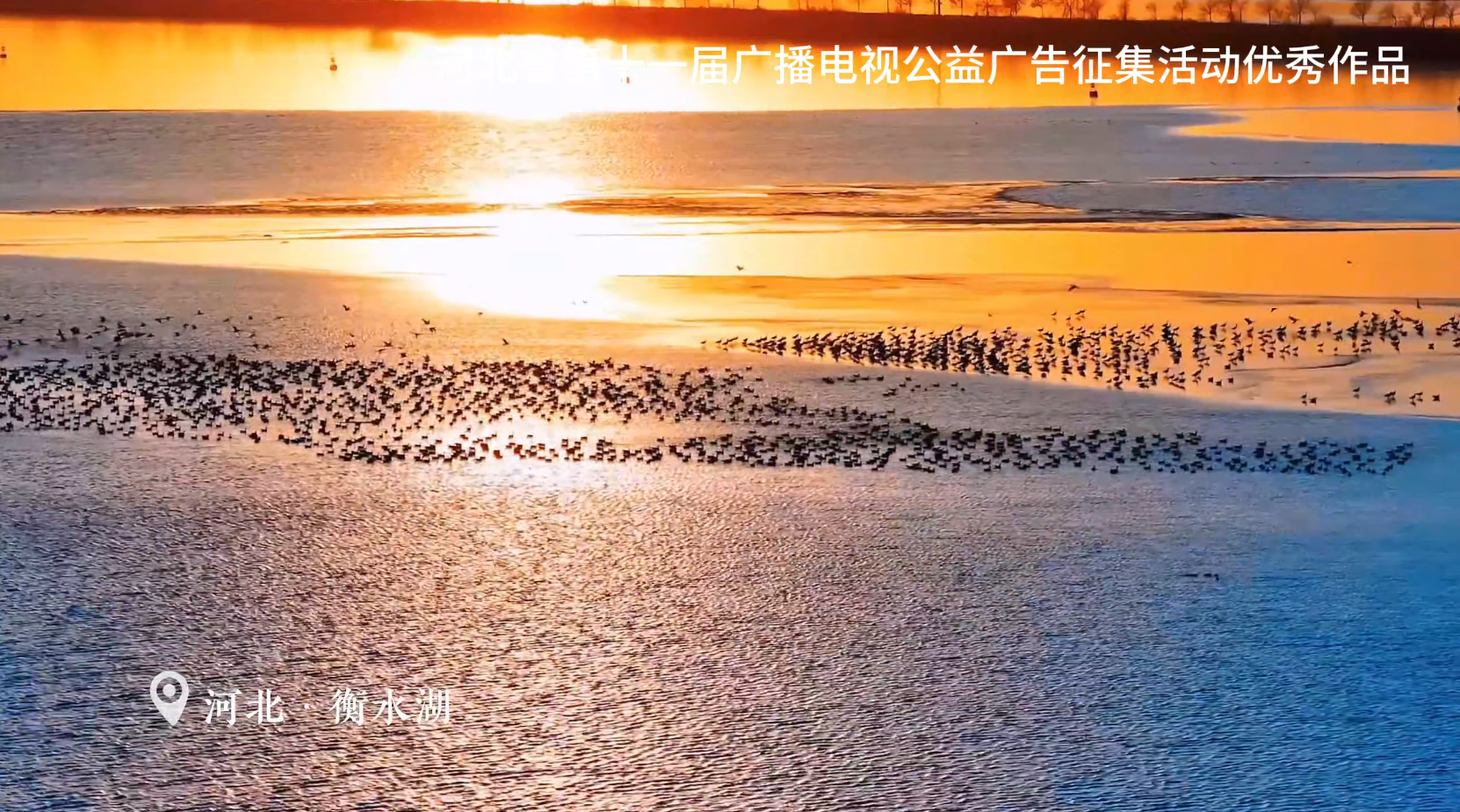 伴候鸟归巢 护人间绿水青山